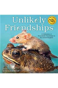 Unlikely Friendships Mini Wall Calendar 2020