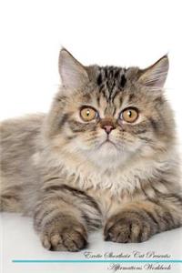 Exotic Shorthair Cat Affirmations Workbook Exotic Shorthair Cat Presents