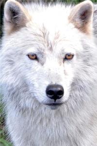 Timber Wolf Checking You Out Journal