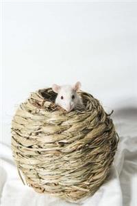 A Cute White Rat Animal Journal