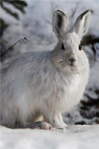 Portrait of a Mountain Hare Lepus timidus Animal Journal: 150 Page Lined Notebook/Diary