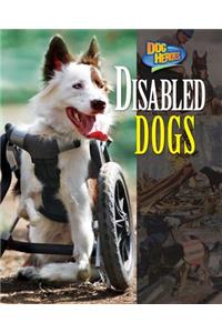 Disabled Dogs