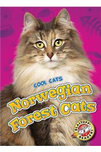 Norwegian Forest Cats