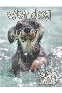 Wet Dog 2019 Calendar