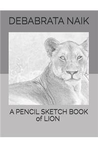 A Pencil Sketch Book of Lion