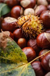 Chestnuts Journal