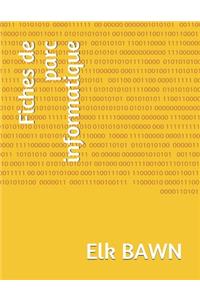 Fiches de parc informatique