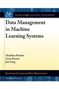 Data Management in Machine Learning Systems