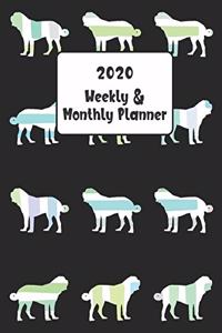 2020 Weekly & Monthly Planner