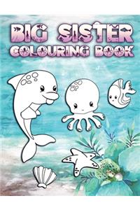 Big Sister Colouring Book