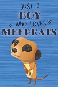 Just a Boy Who Loves Meerkats