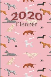 2020 Planner