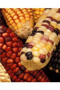 Food School Composition Book Corn Ears Multicolored 130 Pages