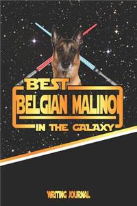 Best Belgian Malinoi in the Galaxy Writing Journal