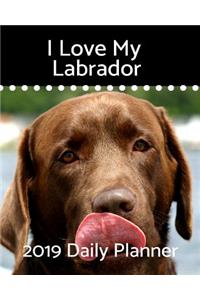 I Love My Labrador