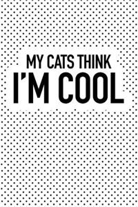 My Cats Think I'm Cool