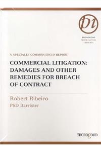 Commercial Litigation