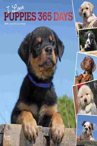 Puppies, I Love, 365 Days, 2019 Square Wall Calendar
