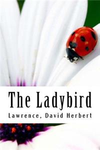 Ladybird