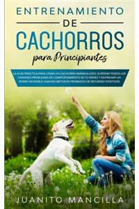 Entrenamiento De Cachorros Para Principiantes