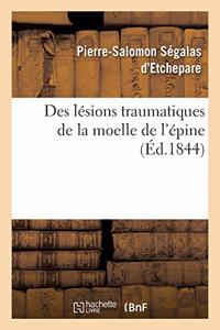 Des Lésions Traumatiques de la Moelle de l'Épine Considérées Sous Le Rapport de Leur Influence