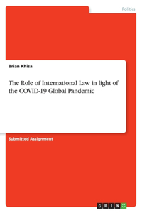 The Role of International Law in light of the COVID-19 Global Pandemic