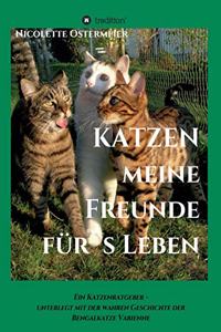 KATZEN - meine Freunde für's Leben