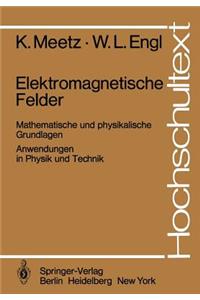 Elektromagnetische Felder