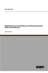 Smart Metering. Effizienzpotentiale Erschliessen.