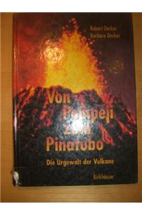 Von Pompeji Zum Pinatubo