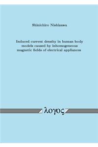 Induced Current Density in Human Body Models Caused by Inhomogeneous Magnetic Fields of Electrical Appliances