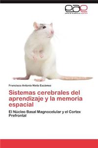 Sistemas Cerebrales del Aprendizaje y La Memoria Espacial