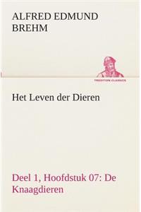 Het Leven der Dieren Deel 1, Hoofdstuk 07