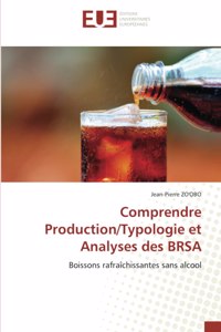 Comprendre Production/Typologie et Analyses des BRSA