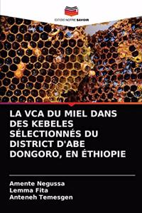 La Vca Du Miel Dans Des Kebeles Sélectionnés Du District d'Abe Dongoro, En Éthiopie