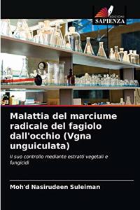 Malattia del marciume radicale del fagiolo dall'occhio (Vgna unguiculata)