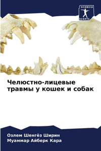 Челюстно-лицевые травмы у кошек и собак