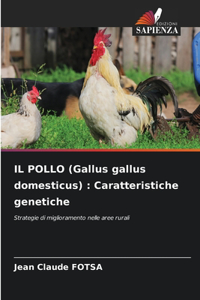 POLLO (Gallus gallus domesticus)