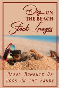 Dog On The Beach Stock Images