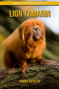 Lion Tamarin