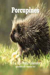 Porcupines 8.5 X 8.5 Calendar September 2020 -December 2021