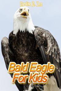 Bald Eagle For Kids