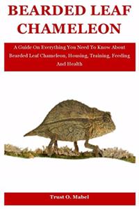 Bearded Leaf Chameleon