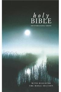 NIV Mass Market Bible R/I