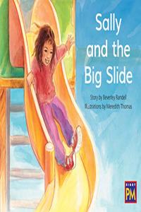 Sally and the Big Slide