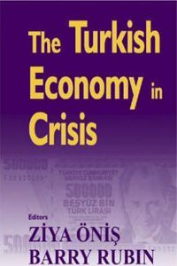 The Turkish Economy in Crisis
