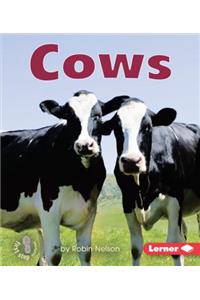 Cows