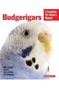 Budgerigars