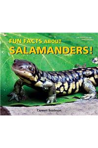 Fun Facts about Salamanders!