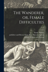 Wanderer, or, Female Difficulties; v. 3